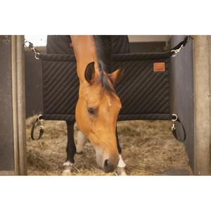 Boxentür Paddock image-2