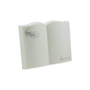 Magisches Buch Nachtlicht Paladone Cendrillon