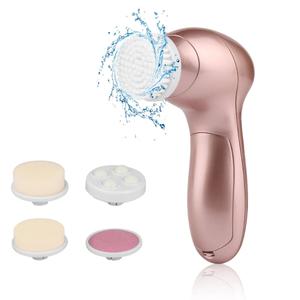 product/p/a/paloma-beauties_hb062.jpg