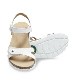 Sandalen für Damen Panama Jack Sulia Basics B1 image-2