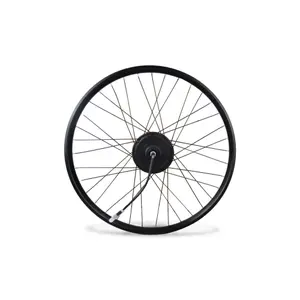 Sada ložisk pro elektrické kolo Panda Bike E-Cargo image-1