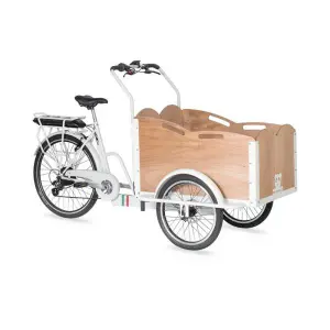 Tricycle Panda E-cargo Classic image-0