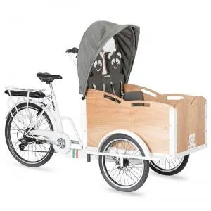 Tricycle Panda E-cargo Classic image-1