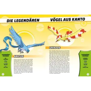 Buch - legendär und mysteriös Panini Pokémon image-2