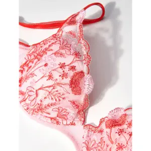 product/p/a/passionata_t821-801b_red-and-fuchsia_2.jpg