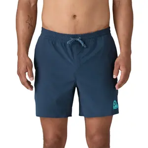 Board shorts Patagonia Hydropeak Volley image-1