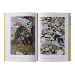 Βιβλίο Patagonia The Wolverine Way image-2