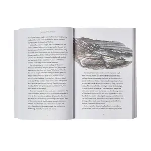 Βιβλίο Patagonia The Voyage of the Cormorant image-2