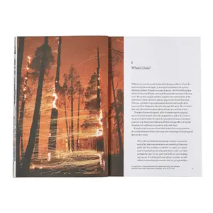 Βιβλίο Patagonia The Future of the Responsible Company image-5