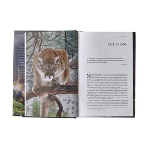 Βιβλίο Patagonia Path of the Puma image-2