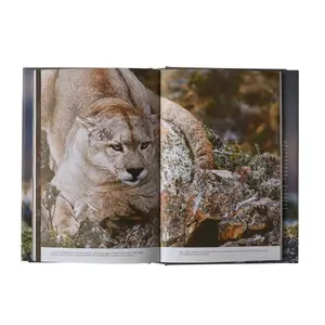 Βιβλίο Patagonia Path of the Puma image-4