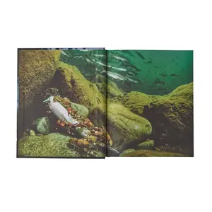 Βιβλίο Patagonia Salmon image-2