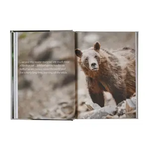 Βιβλίο Patagonia Four Fifths a Grizzly image-2