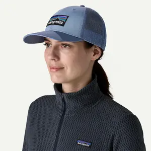 Trucker pet Patagonia P-6 Logo LoPro image-1