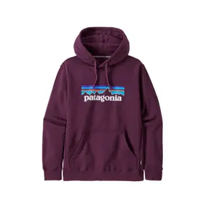 Hoodie Patagonia P-6 Logo Uprisal image-0