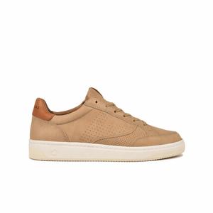 628437150-sneakers-pataugas-basalt-n-h2h-beige