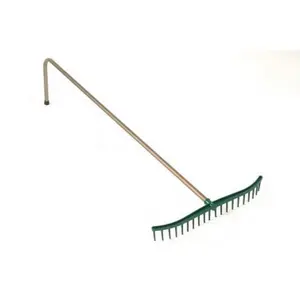Γαλιάκι Pattisson Gold Rake image-0