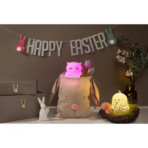 Silicone nightlight Pauleen Night Owl USB image-4