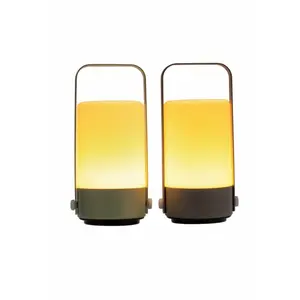 Lot de 2 lanternes Pauleen Charm IP44 image-1