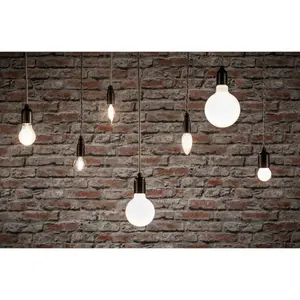 Wire led bulb Paulmann G80 E27 image-4