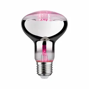 Led-Glühbirne Draht Paulmann R80 E27 image-0