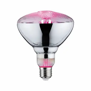 Led-Glühbirne Draht Paulmann PAR38 E27 image-0