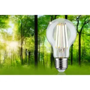 Bombilla de filamento LED Paulmann Eco-Line 230 V 525lm 3000K image-1