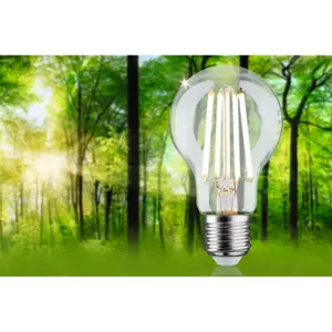 Żarówka LED Paulmann Eco-Line 230 V 840lm 3000K image-3