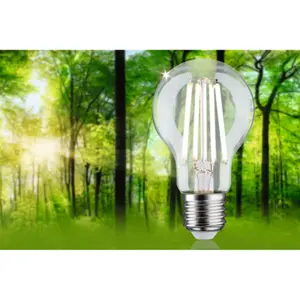 LED gloeilamp Paulmann Eco-Line 230 V 840lm 4000K image-3