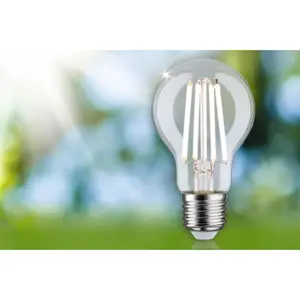 LED gloeilamp Paulmann Eco-Line 230 V 840lm 4000K image-2