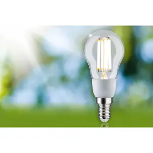 Lampadina a filamento sferico a LED Paulmann Eco-Line 230 V 100mm 525lm 3000K image-2