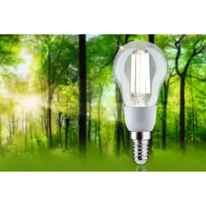 Lampadina a filamento sferico a LED Paulmann Eco-Line 230 V 100mm 525lm 4000K image-3