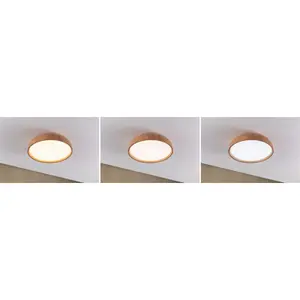 Lampadina a soffitto a led Paulmann Oka IP44 White Switch 230V 950lm image-2