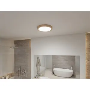 Led plafondlamp Paulmann Tega IP44 white switch 230V 1200lm image-2