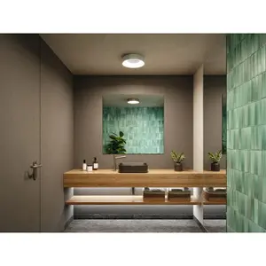 Led-Deckenlampe Paulmann Casca IP44 White Switch 230V 1500lm image-1