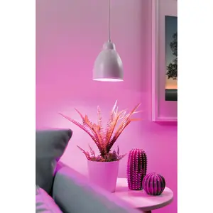 Lampada a sospensione Paulmann Neordic Hilla E27 image-2
