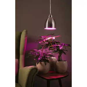 Suspension Paulmann Neordic Hilla E27 image-2