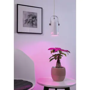 Suspension Paulmann Neordic Lavea E27 image-2