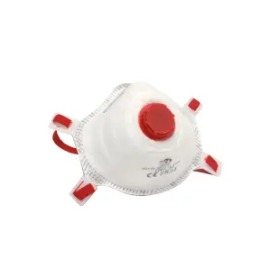 Dust masks Payper Wear Ak003 Ffp3 (x5) image-0