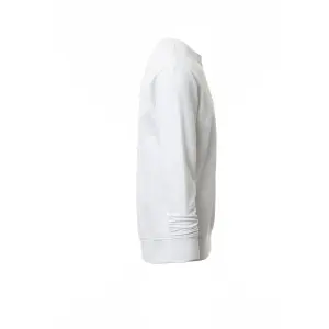 Sweatshirt Payper Wear Orlando image-6