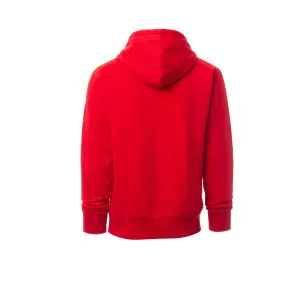 Hooded sweatshirts Payper Wear Toledo (x1) image-1