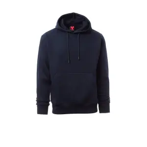 Hooded sweatshirts Payper Wear Toledo (x1) image-0