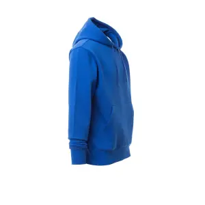 Hooded sweatshirts Payper Wear Toledo (x1) image-2
