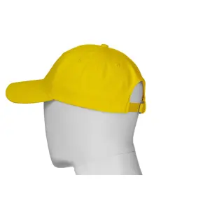 Baseball cap Payper Wear Illinois image-4