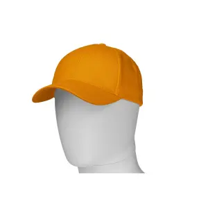 Baseball cap Payper Wear Illinois image-1