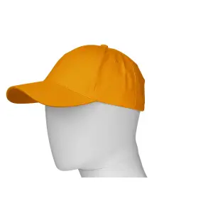Baseball cap Payper Wear Illinois image-2