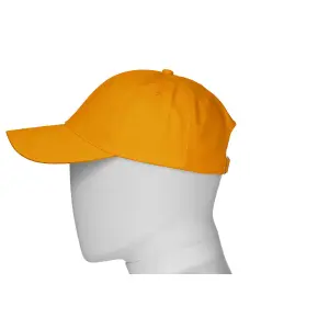 Baseball cap Payper Wear Illinois image-3