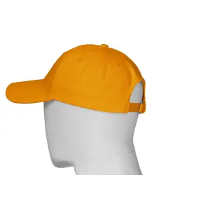 Baseball cap Payper Wear Illinois image-4