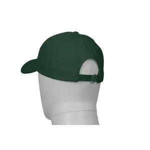 Baseball cap Payper Wear Illinois image-5