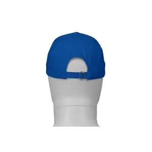 Baseball cap Payper Wear Illinois image-6